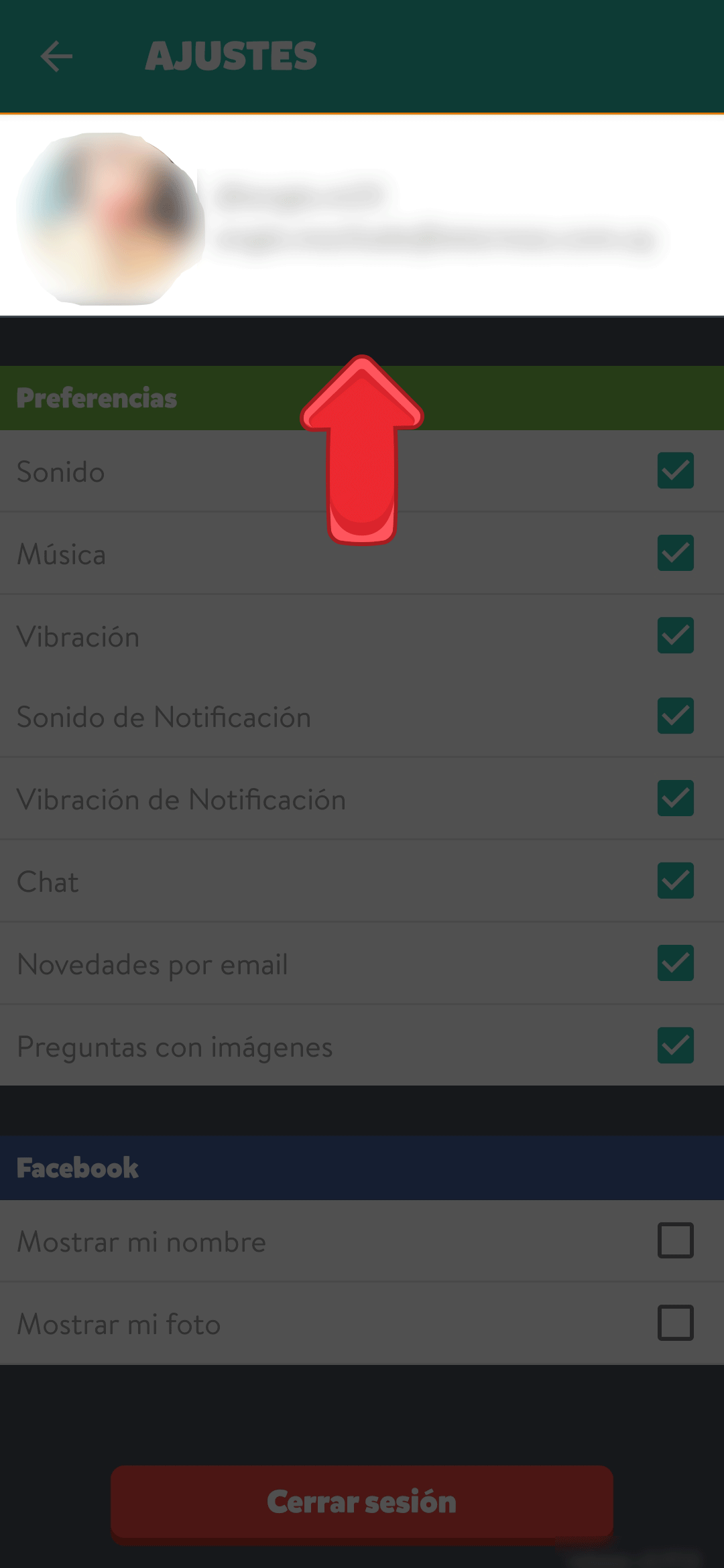 Cambiar-pa_s-ES3-Photoshop.gif